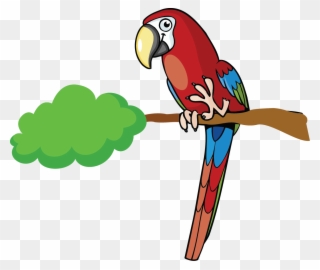 Description For Macaw - Macaw Clipart