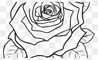 Vintage Flower Drawing At Getdrawings - Beautiful Rose Flowers Drawing Clipart