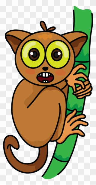 Picture Royalty Free Tarsier Tutorial Http Drawingmanuals - Cartoon Drawing Of A Tarsier Clipart