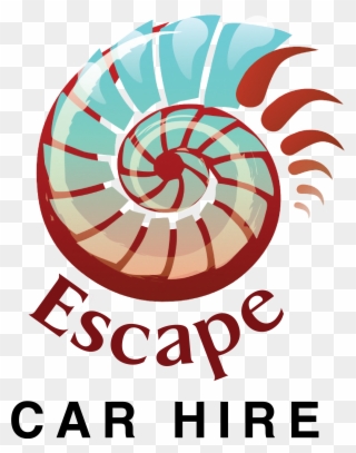 Ech Logo - Seashell Clipart