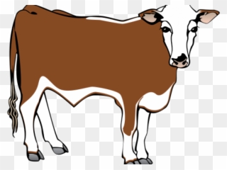 Clipart Freeuse Stock Cliparts X Carwad Net - Big Cow Coloring Pages - Png Download