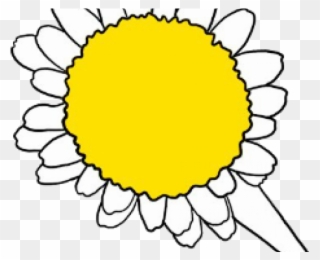 Daisy Clipart Living Thing - Sunflower - Png Download
