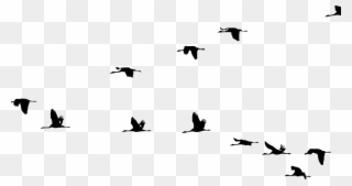 Flying Bird Png 1, Buy Clip Art - Flying Cranes Silhouette Transparent Png