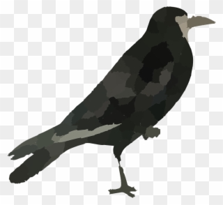 Raven Bird Png Hd1 - Bird Images Hd Png Clipart