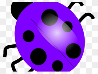 Purple Clipart Ladybug - Dibujo De Una Mariquita - Png Download