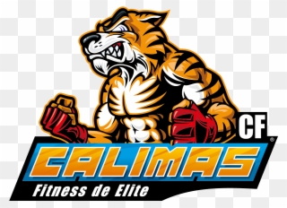 Calimas - Mma Fighting Clipart