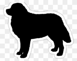 Bernese Mountain Dog Clipart Silhouette - Bernese Mountain Dog Silhouette Free - Png Download