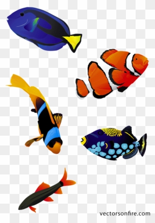 Clip Art Transparent Download Free Colorful Fish Psd - Coral Reef Fish Vector - Png Download
