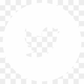 Youtube Logo Twitter Logo Linkedin Logo - Twitter White Icon Png Clipart