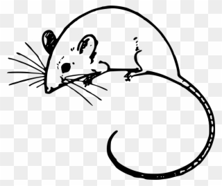 Click Here To Learn More About Our Full Line Of Services - Mouse Clipart Black And White - Png Download