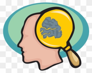Brain Work Cliparts - Brain Facts Clip Art - Png Download