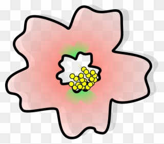 Japan Cherry Blossom Flower Drawing - ดอก ญี่ปุ่น Png Clipart