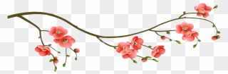 Cherry Blossom Branch - Rama Con Flores Dibujo Clipart