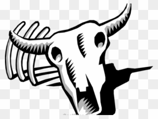 Cow Skull Clip Art - Png Download