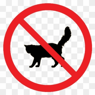Image Result For No Cats Allowed - No Cats Sign Clipart