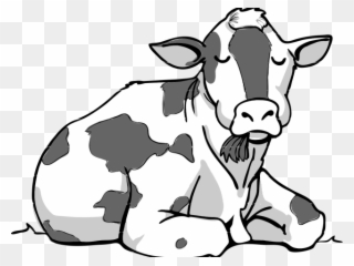 Drawn Cow Clip Art - Cow Sitting Cartoon - Png Download
