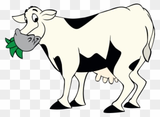 Cow Chewing Grass - Cattle Clipart
