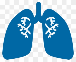 Respiratory - Copd Pipeline Clipart