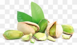 Pistachio - Pistachio Png Clipart