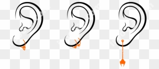 There Are Different Variants Of Ear Piercing - Earring Clipart