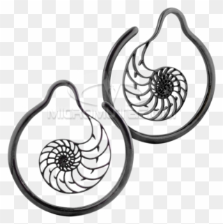 Black Brass Hoop Nautilus Earrings Ear - Nautilidae Clipart