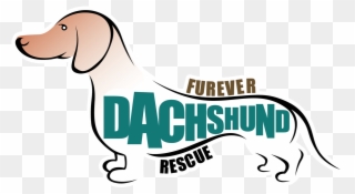Clip Art Black And White Download Welcome Bluebrown - Mini Dachshund Rescue California - Png Download