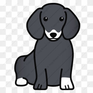 Banner Royalty Free - Dog Breed Clipart