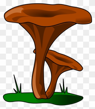 Kanttarelli Piirros Clipart Fungus Mushroom Clip Art - Drawing - Png Download
