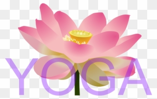 Yoga - Sacred Lotus Clipart