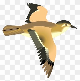 Flying Birds Clip Art Ciij - Animated Flying Bird Png Transparent Png