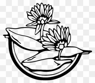 Clipart Water Outline - Water Lily Clipart Black And White - Png Download