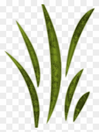 Sea Grass Clipart Wild Grass - Leaf Clipart - Png Download