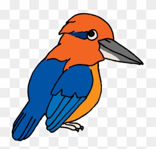 Endangered Island Dweller - Kingfisher Cartoon Png Clipart