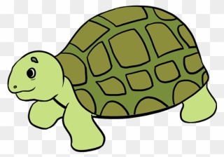 How To Draw Sea Turtle - Easy Drawing Of Sea Animals Clipart