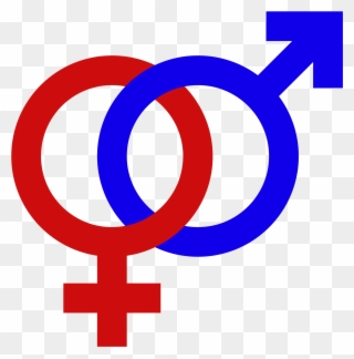 Male Female Gender Signs Gender Symbol Set Male Female - Male And Female Signs Png Clipart