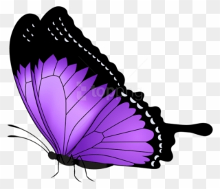 Purple Butterfly Transparent Png Clip Art Image Gallery - Violet Butterfly Transparent