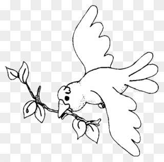 Escape From The Windy Storm And Tempest - Cockatoo Clipart