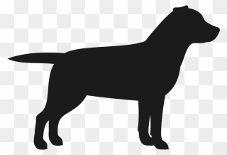 Labrador Retriever Stamp Dog, Cat Amp Fur Baby Stamps - Labrador Retriever Silhouette Png Clipart