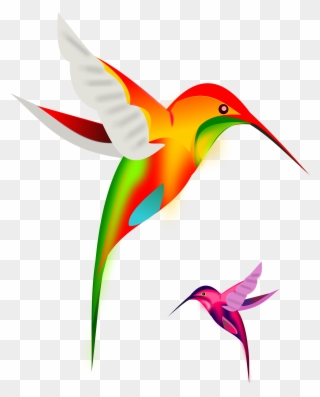 Picture Free Colibri Birds By Gurica Hummingbirds Pinterest - Lord Is Our Banner Clipart