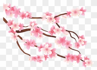 Free Png Pink Spring Branch Png Images Transparent - Transparent Background Cherry Blossom Clipart