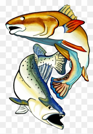 Redfish - Nation - Charter Communications Clipart