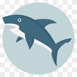 Collection Of Shark Png - Shark Vector Clipart