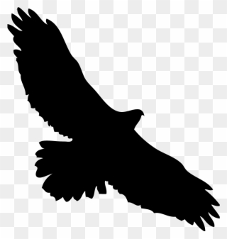 Eagles Clipart Kite Bird - Hawk In Flight Silhouette - Png Download