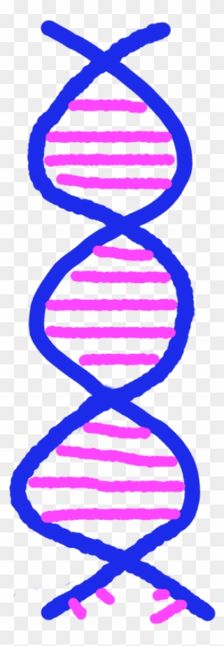 Cartoon Of Dna Helix - Cancer Phobia Clipart