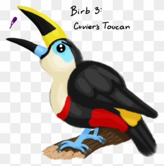 Collection Of Free Birds Download On Ubisafe - Toucan Clipart