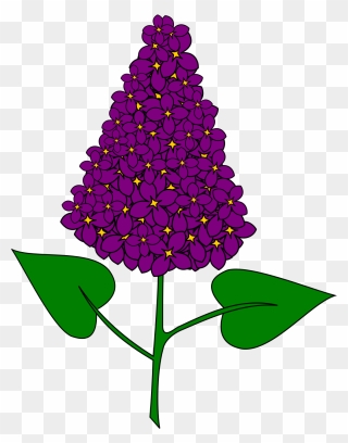 File - Lilas - Svg - Wikimedia Commons Clipart