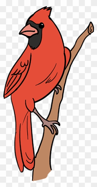 How To Draw Cardinal Bird - Cartoon Cardinal Red Bird Clipart