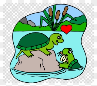Download Turtles In Love Coloring Pages Clipart Turtle - Turtles In Love Coloring Pages - Png Download