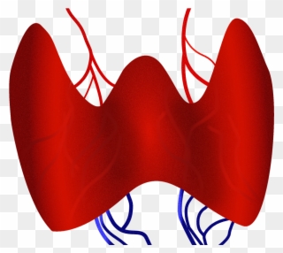 Thyroid Clipart