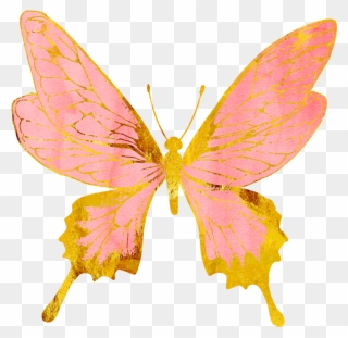 Connection - Freedom - Authenticity - - Pink And Gold Butterflies Clipart